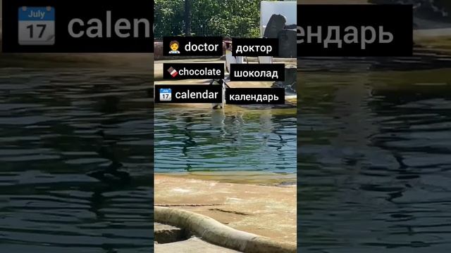 Сложный английский,до конца#топ#тренд#Англия#уровеньанглийского#A1#A2#B1#B2#England#London#chalange