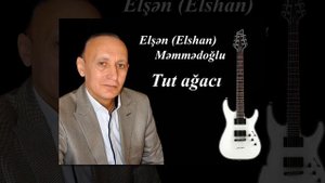 Elşən (Elshan) Məmmədoğlu - gitara "Tut ağacı" 2019