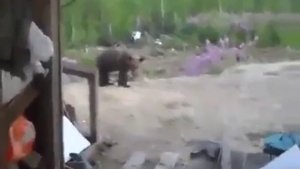 Мужики засняли на камеру свою смерть !