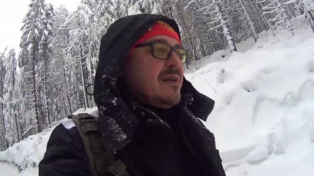 Немецкий лес зимой