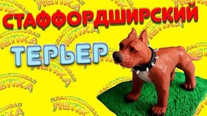 Как слепить собаку СТАФФОРДШИРСКИЙ ТЕРЬЕР