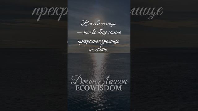 Мудрые слова от Джона Леннона #леннон #мудрыеслова #ecowisdom #мудрость #Beatles