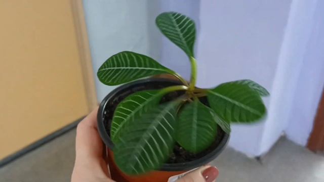 РОДИТЕЛЬСКАЯ СУББОТА в ШКОЛЕ👩👦👨🏫вызвала МАСТЕРА 🛠️#школа #ремонт #влог смотреть онлайн