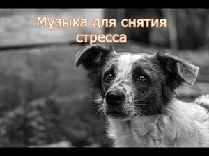 Звуковой массаж всех чакр: Чудо-Тона 174Гц, 285Гц, 396Гц, 417Гц-#108