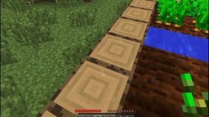 Я ПОСТЕПЕННО СТАРЕЮ В ДЕРЕВНЕ ЖИТЕЛЕЙ НОМЕР 13. В МАЙНКРАФТЕ. LEMONAED МАЙНКРАФТ