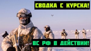 МОРПЕХИ ВС РФ В ДЕЙСТВИИ! СВОДКА С КУРСКА НА 29.11.2024!