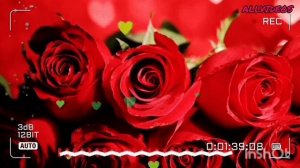 Суруди барги гул. Субхониддини Бурхон.