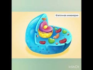 Видеоурок Генная инженерия