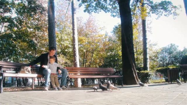 Осенние прогулки - Видеосъемка выходного дня в Сочи