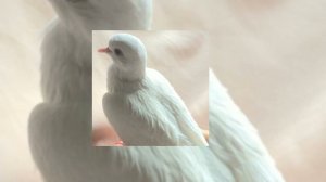 Обезоружена– Полина Гагарина (speed up)