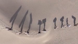 🏜В Китае создали грандиозный защитный барьер вокруг пустыни (1)