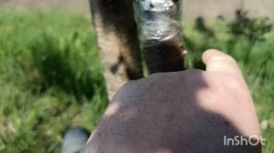 Можно ли триммером культивировать землю?