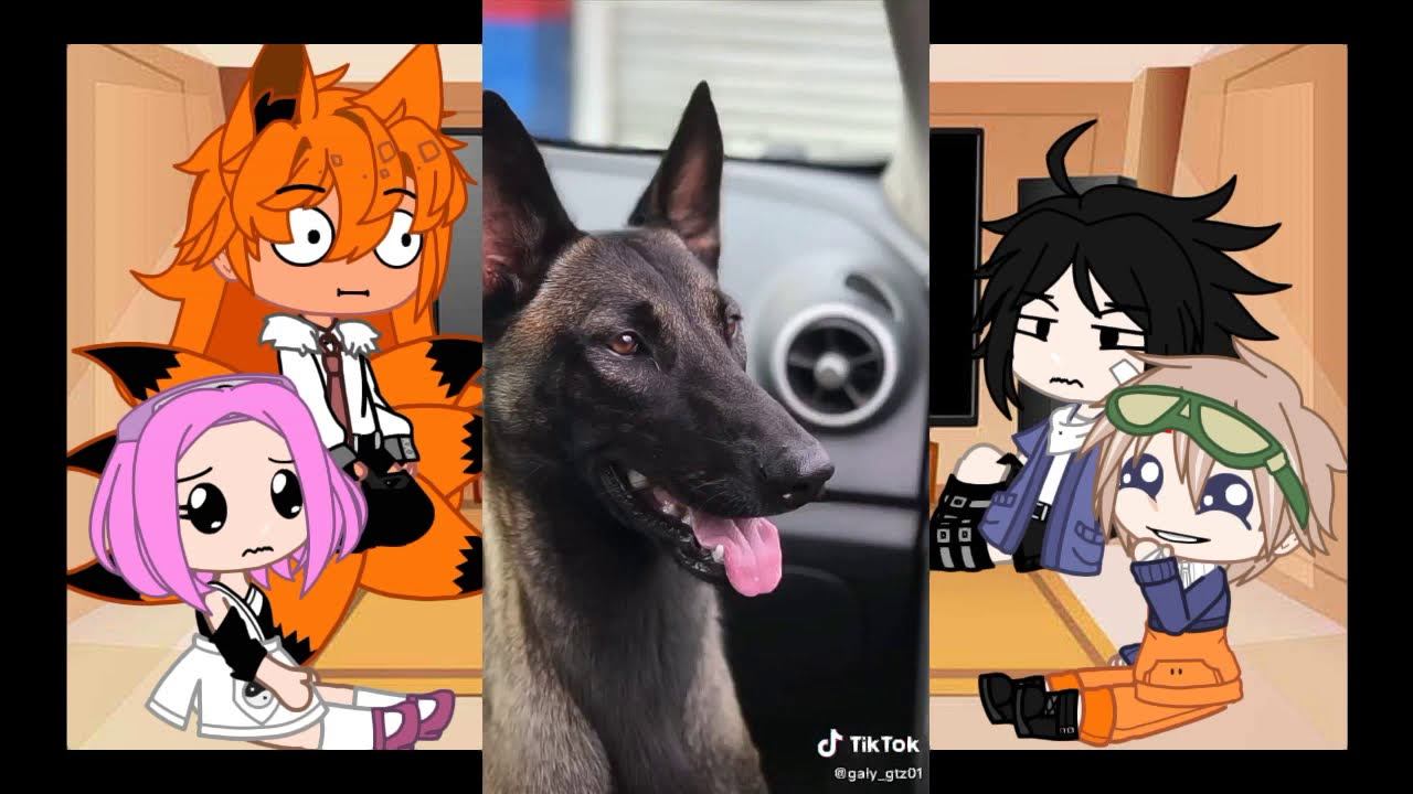 🍥🍲Реакция персонажей из |🦊Наруто🦊|На питомцев|НаруСасу|13| на ТТ🍲🍥