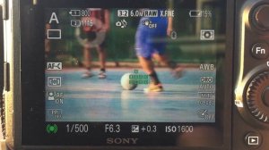 SIGMA 60-600 mm f4.5‑6.3 dg os hsm sports Auto focus test