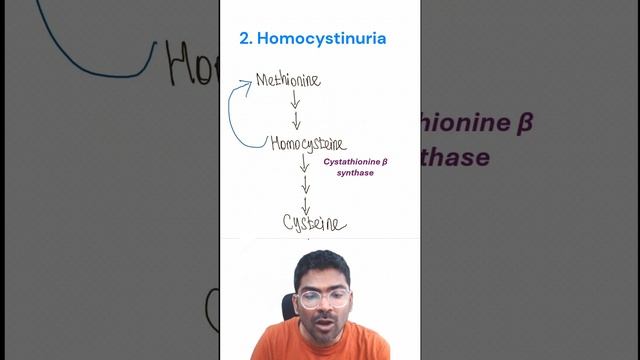 Dietarily nonessential amino acids can become essential #metabolism #biochemistry #aminoacids смотреть онлайн