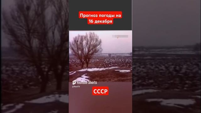 #Прогнозпогоды на 16 декабря #ссср #советскоетелевидение #ретро #история #новости