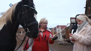 Мастер-классы по анималотерапии прошли в Петрозаводске