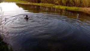 Пацан прыгнул в воду в ОДЕЖДЕ