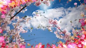 "МИР ПОЛОН ЗВУКОВ" (А.Корчинский,А.Поперечный) - поёт Татьяна Митьковская