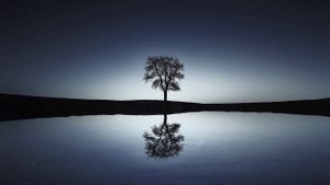 Relax. Night Sky. Ambient.