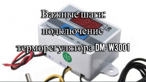 Важные шаги: подключение терморегулятора DM-W3001