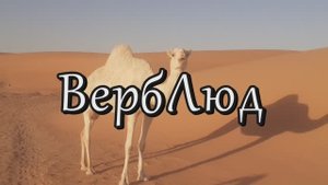 ВербЛюд. Марат Гафуров