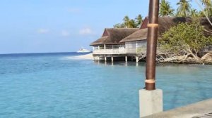 Malahini Kuda Bandos 2021