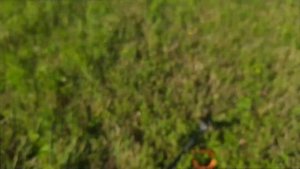 ОБЪЯСНЯЮ ВСЕ СИГНАЛЫ НА XP ORX. Коп по старине в старых урочищах.