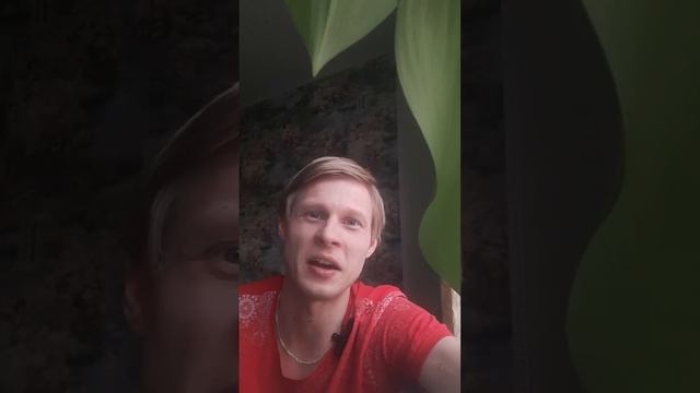"Генетические корни притяжения: почему мужчины предпочитают похожих женщин"
