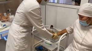 Проведение ПУЛЬСОКСИМЕТРИИ