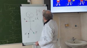 ЭКГ. Стандартные отведения по Эйнховену.