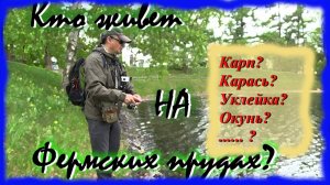 Кто живет на Фермских прудах? Мормышинг на городских водоемах