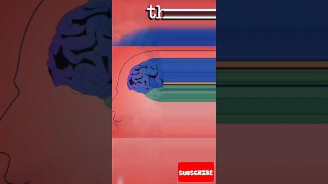 What if We All See Colors Differently? The Mind-Bending Theory of Inverted Spectrum Explained! смотреть онлайн