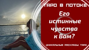 Его истинные чувства к Вам?
