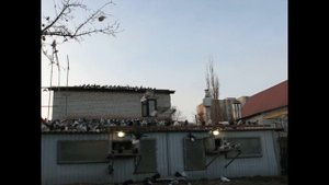 Николаевские голуби Сергея Родионова (Размышления...) Волгоград. Часть 105