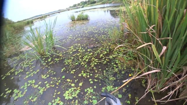 Последние дни лета,охота с рогаткой смотреть онлайн