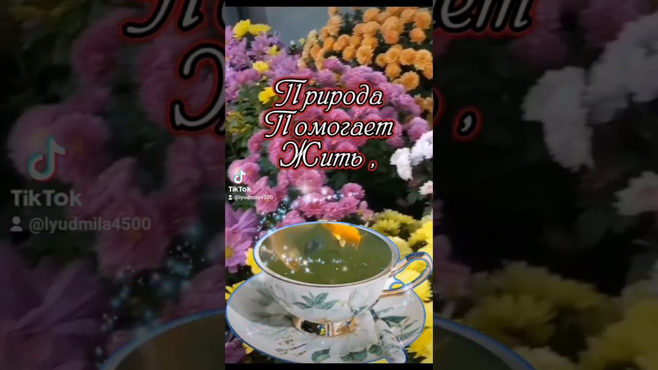 Доброе утро !🌺🙂💛 #пожелания #доброеутро #открытки #пожеланиедлядрузей #цитатысосмыслом   #цитаты