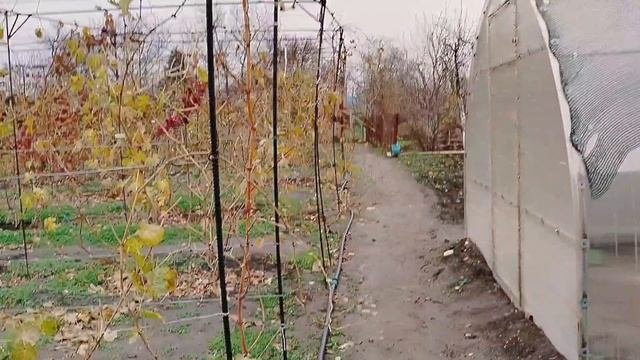 Пыхтим потихоньку.Черепаший ход.Идем на поправку.