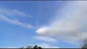 Indigen (Негр и Белка) Угарный мульт!