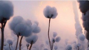 Интересные истории - Как я обрела свободу....