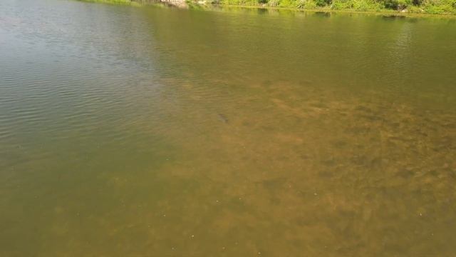 Полет на дроне смотреть онлайн