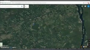 МАСШТАБНАЯ вырубка лесов в Сибири