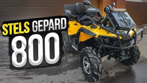 ПРОДАН!СТЕЛС ГЕПАРД 800, ЛУЧШИЙ ИЗ СВОИХ СОБРАТЬЕВ?ОБЗОР НА ПРОДАЖУ!