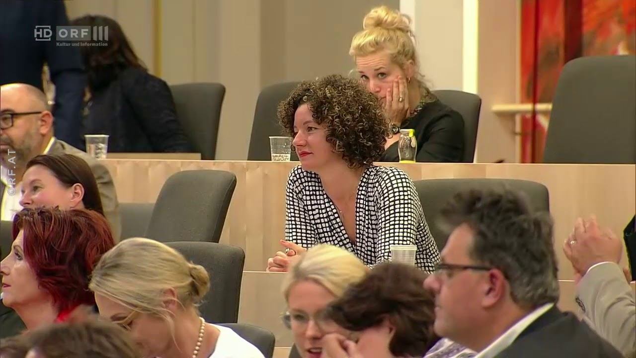 2018 06 15 Nationalratssitzung zeitversetzt 35 Verkehrsminister Norbert Hofer FPÖ смотреть онлайн