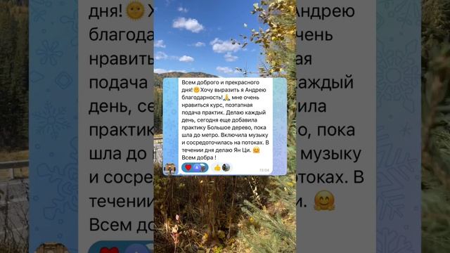 Отзыв с Большого курса цигун