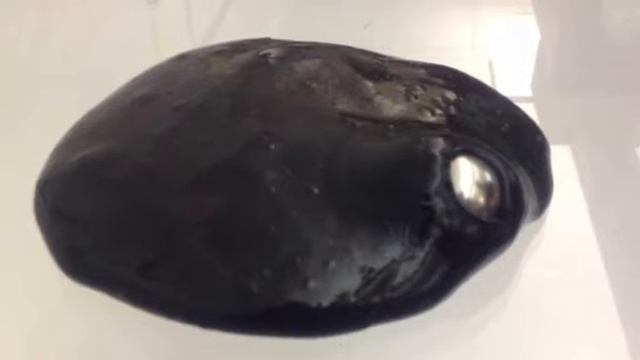 Magnetic GAK смотреть онлайн