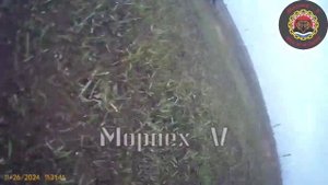 Бойцы морской пехоты пережили атаку FPV дрона хохлов, все живы