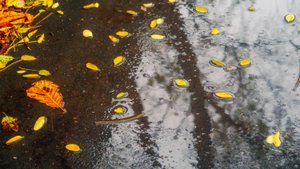 Есть в дожде откровенье...