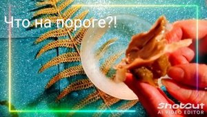 ✨Что на пороге?✨