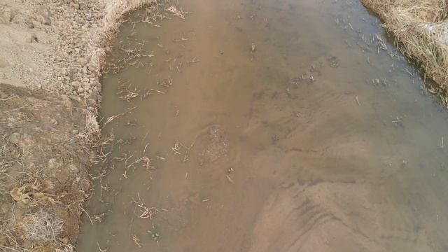 Охота с дрона смотреть онлайн